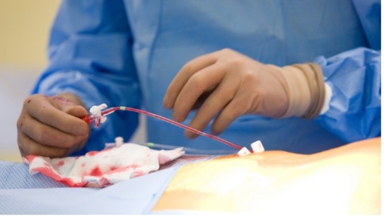 Catheterisation Practical Training